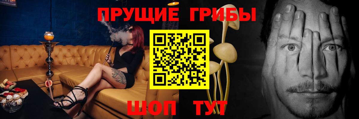 Галлюциногенные грибы Magic Shrooms  Псилоцибиновые грибы Psilocybe  продажа наркотиков  Вход с VPN  Зима 